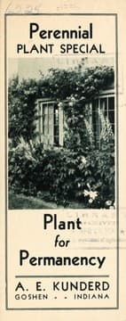 Tapa de Perennial plant special, plant for permanency