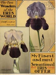Tapa de The two wonders of the iris world
