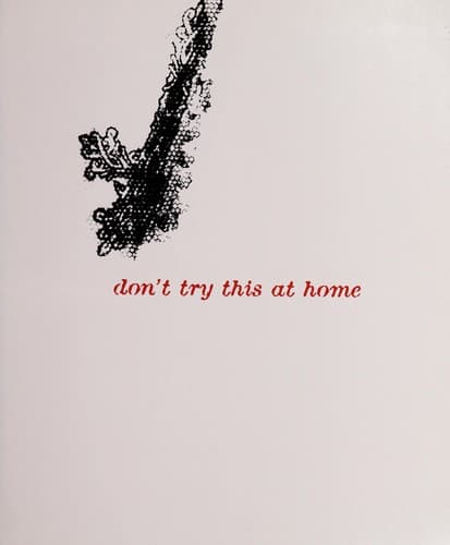 Tapa de Don't try this at home