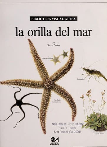 Tapa de La orilla del mar