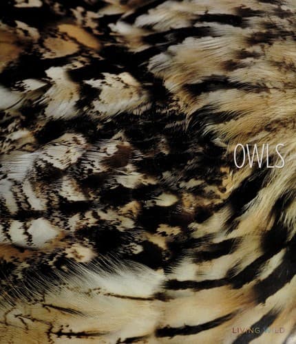 Tapa de Owls