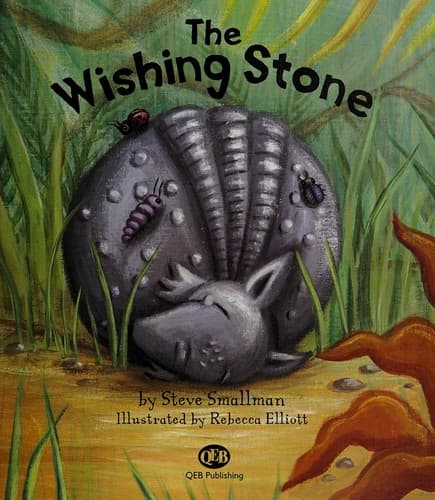 Tapa de The wishing stone