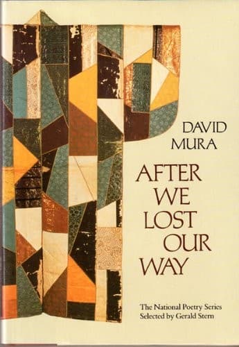 Tapa de After We Lost Our Way