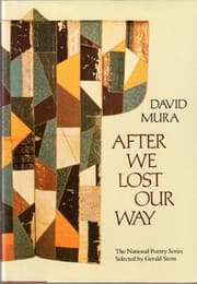 Tapa de After We Lost Our Way