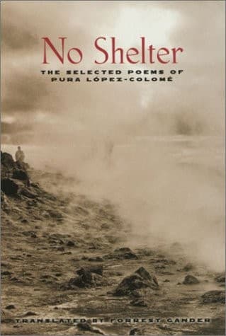 Tapa de No Shelter