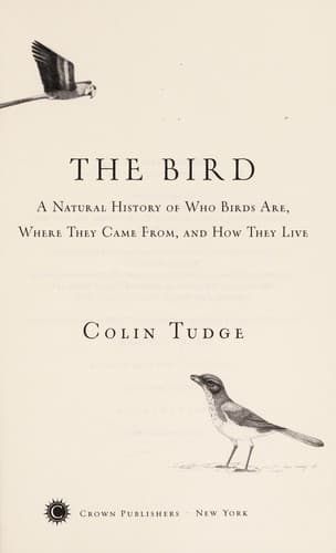 Tapa de The bird