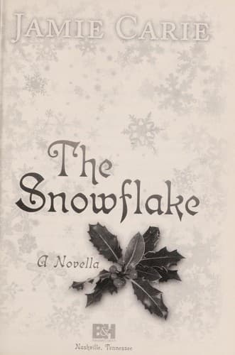 Tapa de The snowflake