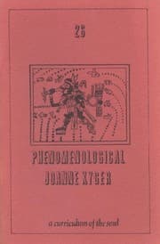 Tapa de Phenomenological