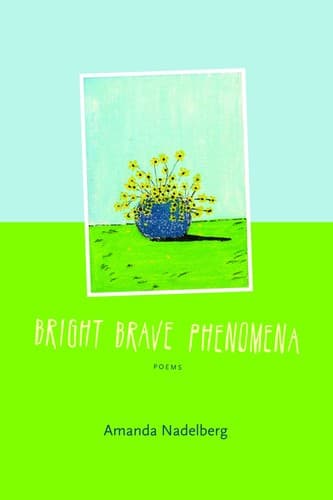 Tapa de Bright Brave Phenomena