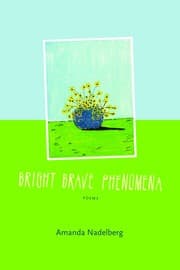 Tapa de Bright Brave Phenomena