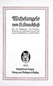 Tapa de Michelangelo