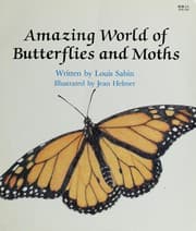 Tapa de Amazing world of butterflies and moths