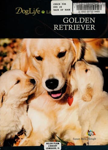 Tapa de Golden retriever