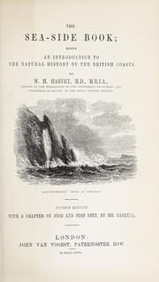 Tapa de The sea-side book