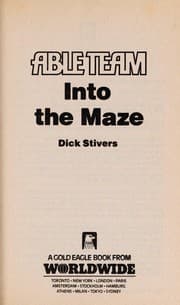Tapa de Into the Maze