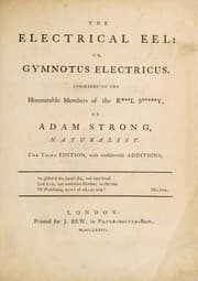 Tapa de The electrical eel: or, gymnotus electricus. Inscrib'd to the Honourable Members of the R***l S*****y