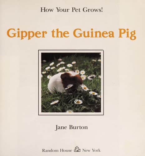 Tapa de Gipper the guinea pig