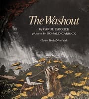 Tapa de The washout