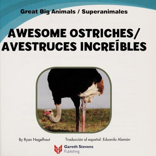 Tapa de Awesome ostriches