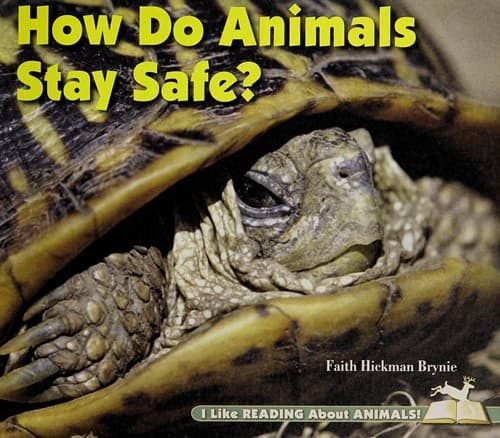 Tapa de How do animals stay safe?
