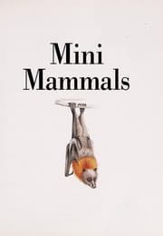 Tapa de Mini Mammals (Explorers)