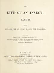 Tapa de The life of an insect