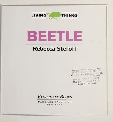 Tapa de Beetle