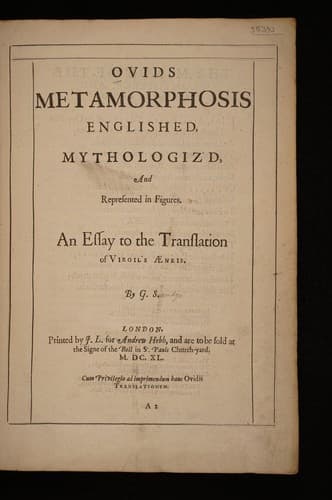 Tapa de Ovid's Metamorphosis