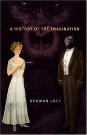 Tapa de A History of the Imagination