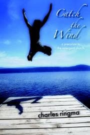 Tapa de Catch the Wind