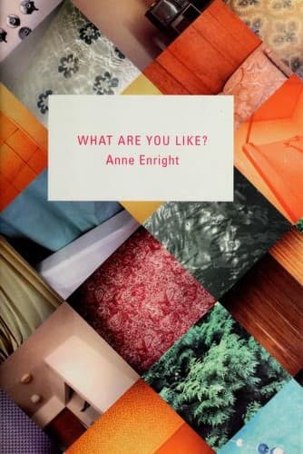 Tapa de What are you like?