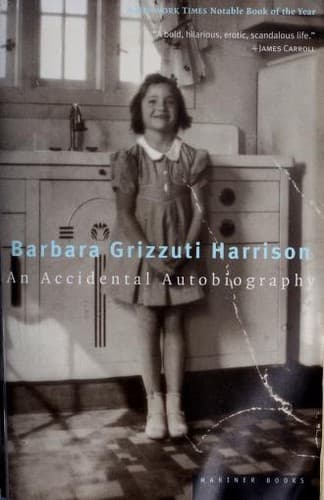 Tapa de An Accidental Autobiography