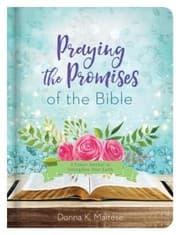 Tapa de PRAYING THE PROMISES OF THE BIBLE: A PRAYER JOURNAL