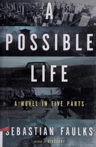 Tapa de A possible life