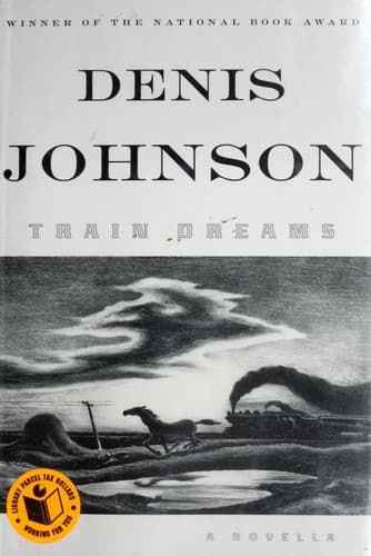 Tapa de Train dreams