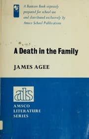 Tapa de Death in the Family