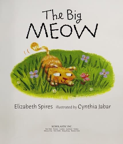 Tapa de The big meow