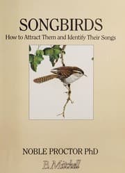 Tapa de Songbirds