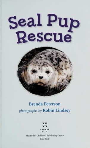 Tapa de Seal pup rescue
