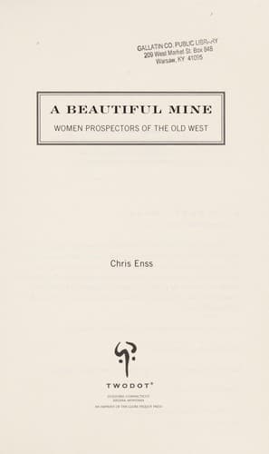Tapa de A beautiful mine
