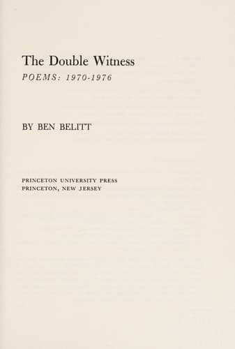 Tapa de The double witness