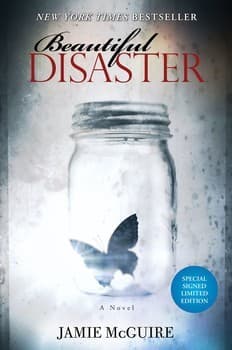 Tapa de Beautiful disaster