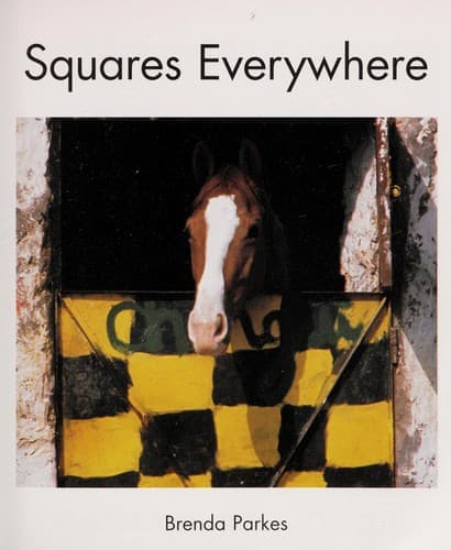 Tapa de Squares everywhere
