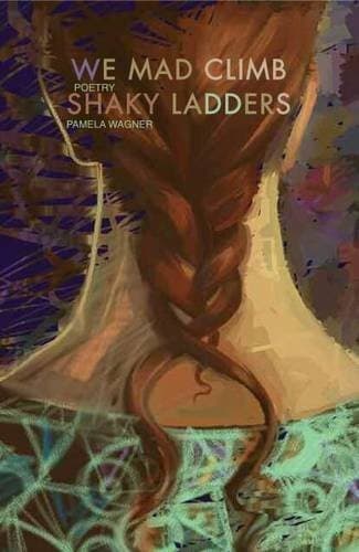 Tapa de We mad climb shaky ladders
