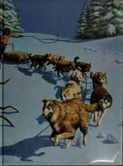 Tapa de The Call of the Wild and other stories