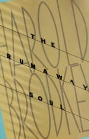Tapa de The runaway soul
