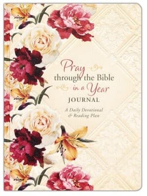 Tapa de PRAY THROUGH THE BIBLE IN A YEAR