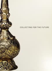 Tapa de Collecting for the future