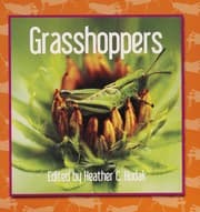 Tapa de Grasshoppers