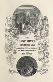 Tapa de The busy hives around us